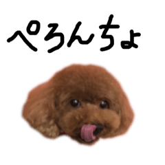 [LINEスタンプ] しょこらとまろん☆2の画像（メイン）