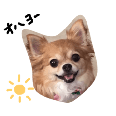 [LINEスタンプ] のあの日常 キ・ホ・ン
