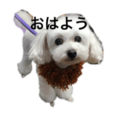 [LINEスタンプ] 山内ティアラ