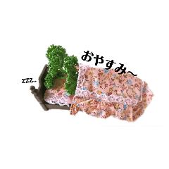 [LINEスタンプ] パセリの日常 そのいち