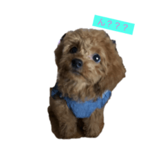 [LINEスタンプ] モモちゃんver1