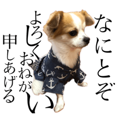 [LINEスタンプ] うちのふぁんたくん