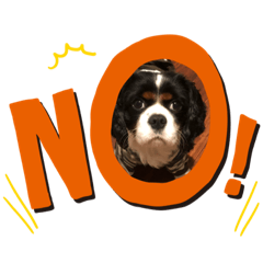 [LINEスタンプ] キャバリア stamp