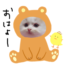 [LINEスタンプ] にこと仲良しのぴーすけ