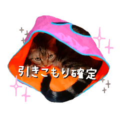 [LINEスタンプ] 仲良しむーココ