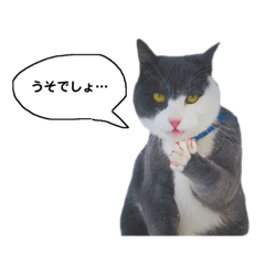 [LINEスタンプ] めるわたどく3