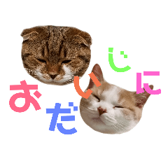 [LINEスタンプ] ひこ＆くにゃ 10