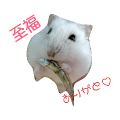 [LINEスタンプ] うちの大福 サファイアブルー