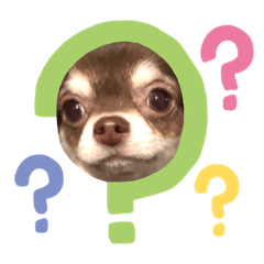 [LINEスタンプ] チワワちゃん5