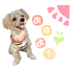 [LINEスタンプ] 愛ふぁみりースタンプ