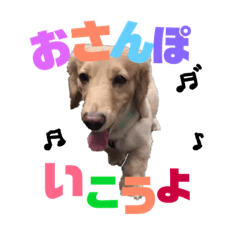 [LINEスタンプ] かぶくん