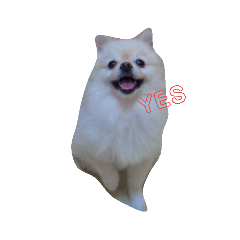 [LINEスタンプ] 葉月すたんぷ