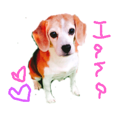 [LINEスタンプ] 花とサン 