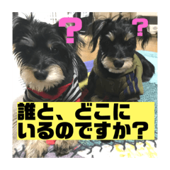 [LINEスタンプ] つくね＆うずら第2弾