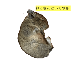 [LINEスタンプ] デグーのくぅー 