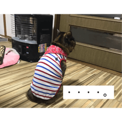 [LINEスタンプ] るぅくろとら 