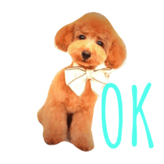 [LINEスタンプ] トイプードルALAN 