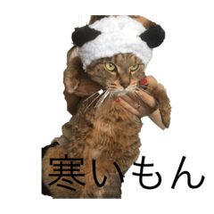 [LINEスタンプ] まろんスタンプNO．2