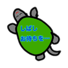 [LINEスタンプ] ゆるいシュールなカメ《シャラ》