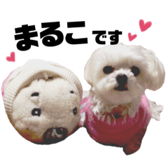 [LINEスタンプ] まるちゃん♡♡