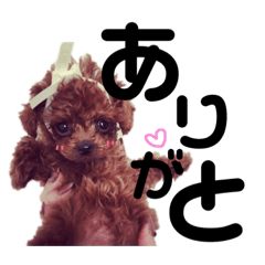 [LINEスタンプ] しゃもじのすたんぷ