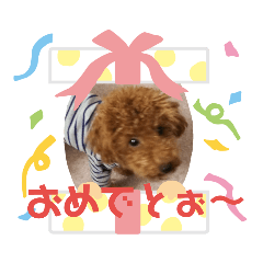 [LINEスタンプ] 高篠ロペ②