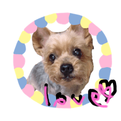 [LINEスタンプ] あいらぶ姫♡