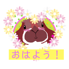 [LINEスタンプ] オシャレうさぎ♡ロップイヤー♡ジャッキー