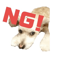 [LINEスタンプ] マルプー   犬   その1