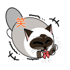 [LINEスタンプ] ラグドールのラテさん