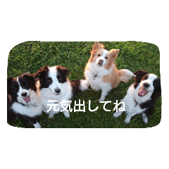 [LINEスタンプ] ハニー軍団