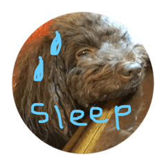 [LINEスタンプ] ショコラしゃべっちゃいました