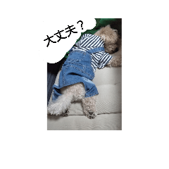 [LINEスタンプ] tarou's everyday 
