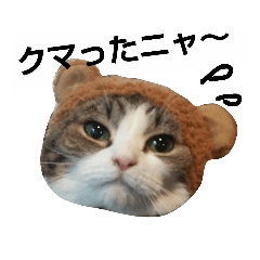[LINEスタンプ] ぐるぐるにゃんこ 