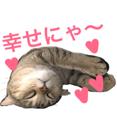 [LINEスタンプ] 雪之丞とルナマロンすたんぷ 