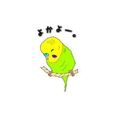 [LINEスタンプ] インコのリアルかわいいペットスタンプ