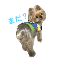 [LINEスタンプ] ヨークシャ生活