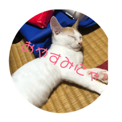 [LINEスタンプ] 友達に使おう