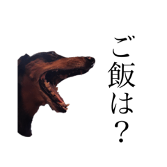 [LINEスタンプ] 我が家の愛犬(4)