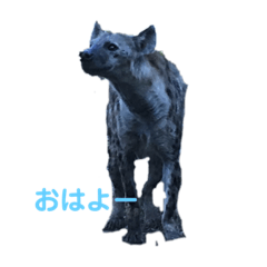 [LINEスタンプ] 動物癒し系 のんびり