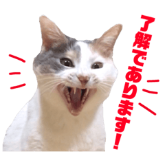 [LINEスタンプ] ユキさんスタンプ(其の三)