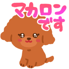 [LINEスタンプ] トイプードルのマカロン