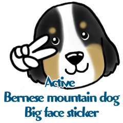 [LINEスタンプ] Active BMD Big face Sticker！