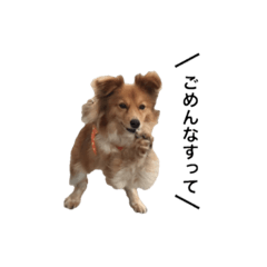 [LINEスタンプ] そらまわり