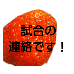 部活連絡(保護者)文字だけシンプルイチゴ