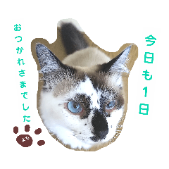 [LINEスタンプ] よもぎ大福の味vol.1