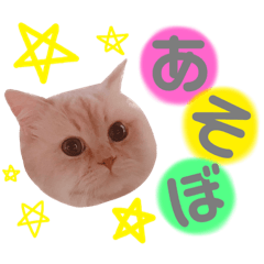 [LINEスタンプ] むうちゃん♂2 withびいちゃん