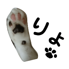 [LINEスタンプ] ルイ・スタ