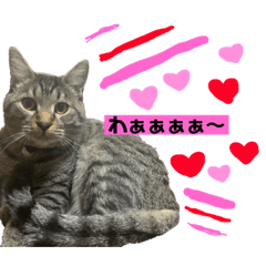 [LINEスタンプ] おりちゃん① 