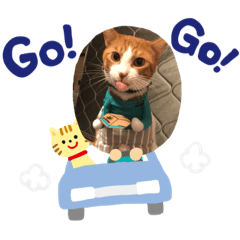 [LINEスタンプ] にゃんにゃんファミリー3
